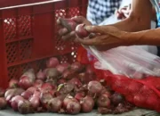 Harga Bawang Merah Menggila, Inflasinya Capai 30,75% di dalam April 2024