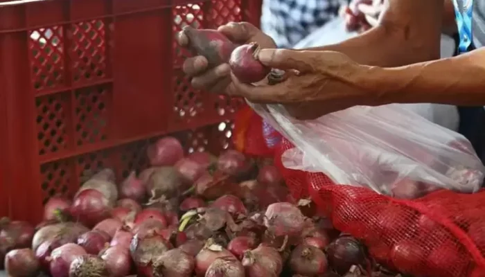 Harga Bawang Merah Menggila, Inflasinya Capai 30,75% di dalam April 2024