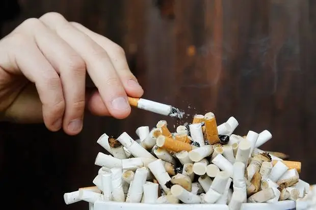 Nusantara Disarankan Belajar dari Eropa Kurangi Kecanduan Rokok