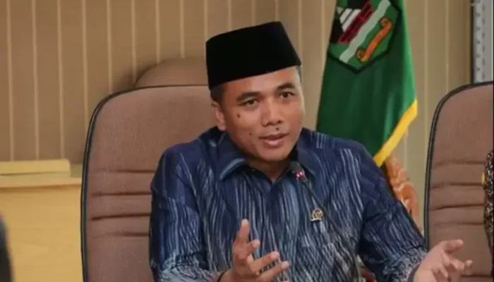 Permohonan PHPU Ditolak MK, Sekjen PPP: Ada Perbedaan Melihat Barang Gugatan