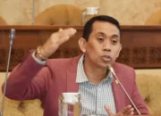 Kestabilan Politik Dinilai Jadi Modal Utama Pembangunan Berjalan