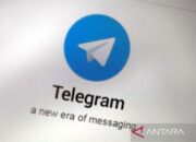 Dirjen Aptika sebut Telegram telah respons penghapusan judi online