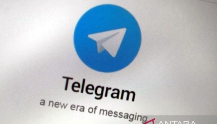 Dirjen Aptika sebut Telegram telah respons penghapusan judi online