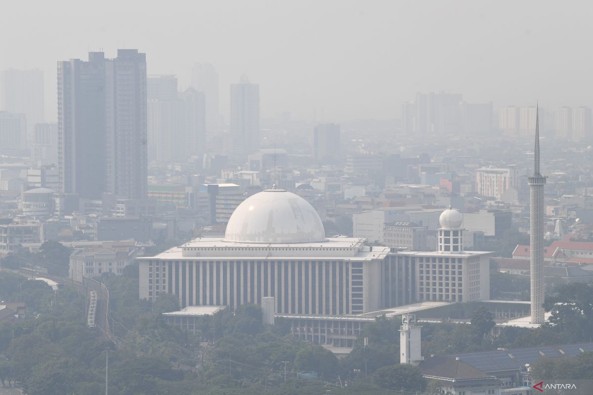 IDAI soroti dampak buruk polusi udara terhadap bertambah kembang anak