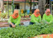 BRINita Bantu Grup Tani Ini adalah Ubah Lahan Terbengkalai Jadi Produktif