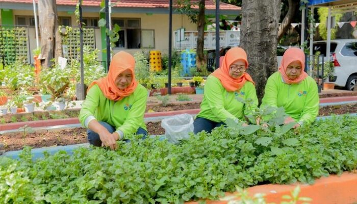 BRINita Bantu Grup Tani Ini adalah Ubah Lahan Terbengkalai Jadi Produktif