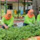 BRINita Bantu Grup Tani Ini adalah adalah Ubah Lahan Terbengkalai Jadi Produktif