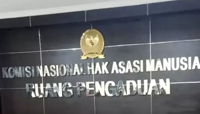 Hari Hal ini Kuasa Hukum Vina Cirebon Sambangi Komnas HAM