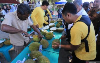 Nusantara bidik ekspor durian senilai 8 miliar dolar Negeri Paman Sam ke China