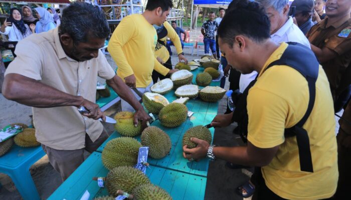 Nusantara bidik ekspor durian senilai 8 miliar dolar Negeri Paman Sam ke China