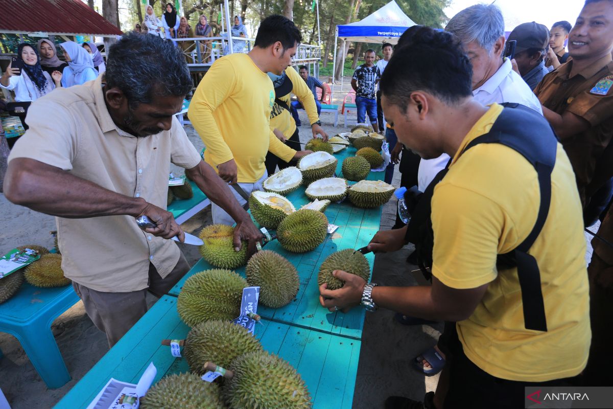 Nusantara bidik ekspor durian senilai 8 miliar dolar Negeri Paman Sam ke China