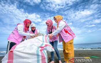 Srikandi PLN NTB berikrar menyokong inisiatif peduli lingkungan